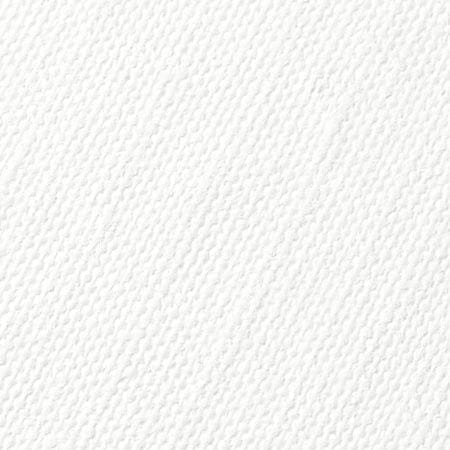 Acrylic Gesso (White) Water Base Non-Toxic Universal Gesso Primer to Apply as an Undercoat Before Painting for Extra Coverage